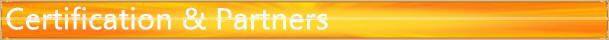 customization digital printed chiffon fabric for fashion suit-dress