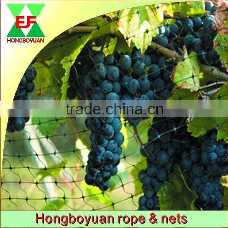 PE Plastic mesh birds trap grapes net to catch birds