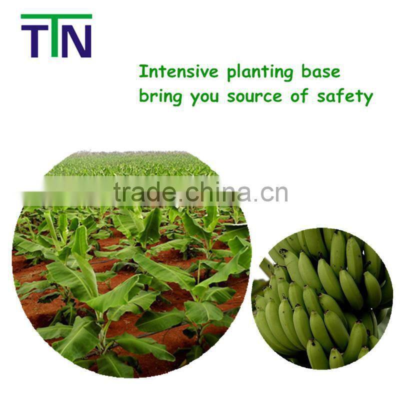 Freeze dried fruits and vegetables