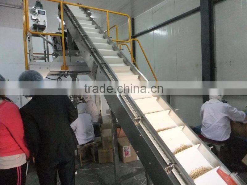 ROASTED PEANUT IN SHELL 9/11 NATURE FLAVOR