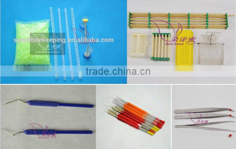 Queen bee set queen cell strip for sale