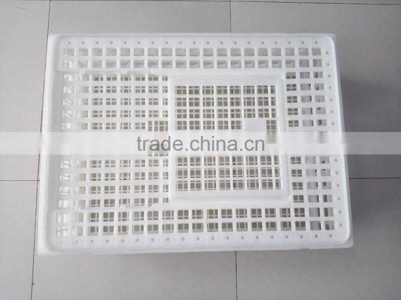 foldable plastic crate for chicken for sale