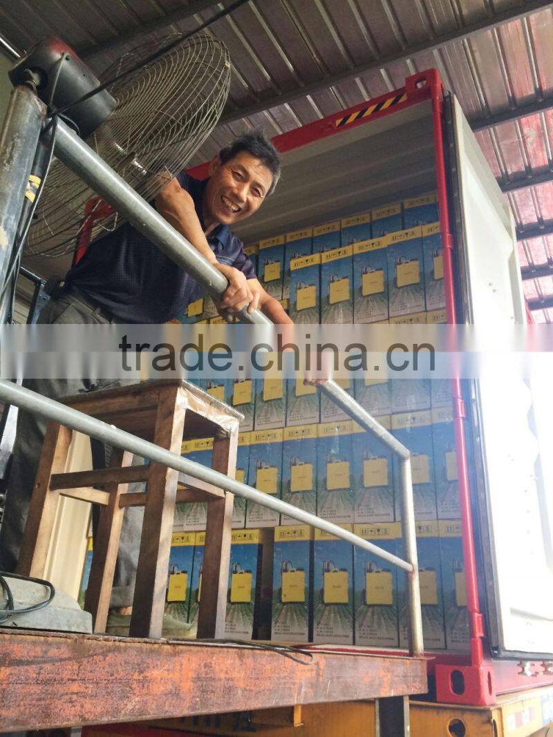 Spare Parts of Knapsack Sprayer