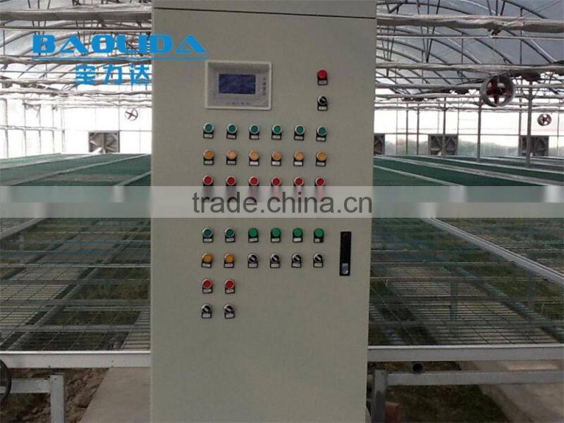 hot dip galvanized framework plastic film greenhouse for vegetables and plant