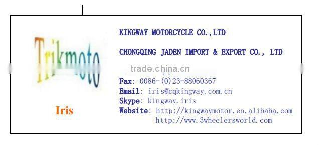 China 250cc 3 Wheel Van Cargo Tricycle With Cabin For Shop Box