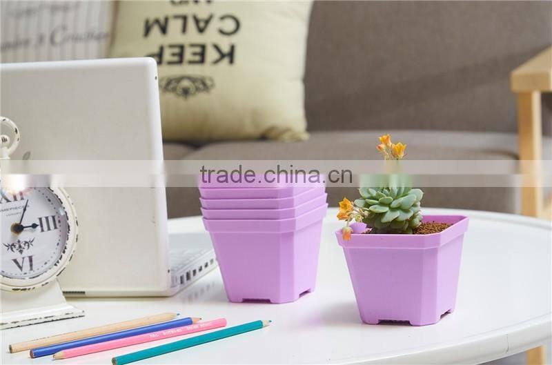 Thicken Colorful Square Plastic Plant Pot for Decoration of Home Office Desk Garden Flower Shop