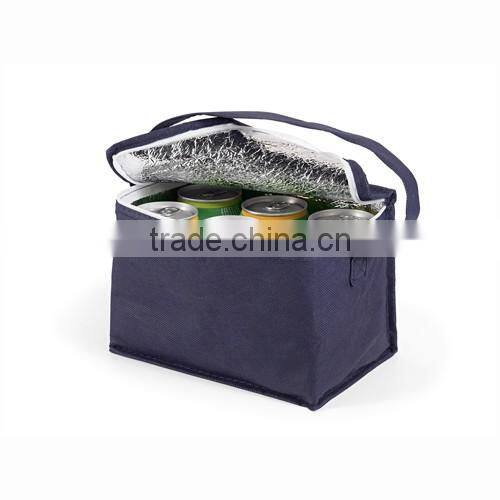 6 cans non-woven foldable cooler bag with handle for promtional