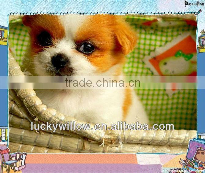 Corn husks basket for pet bed&sofa(factory provide)