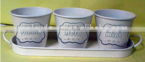 indoor nursery flower pot growing plant flat tray