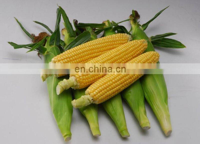 Automatic modern and advanced multifunctional corn husker in factory directly price
