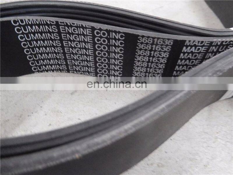 3681636 belt