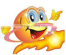 Car wool buffing pad