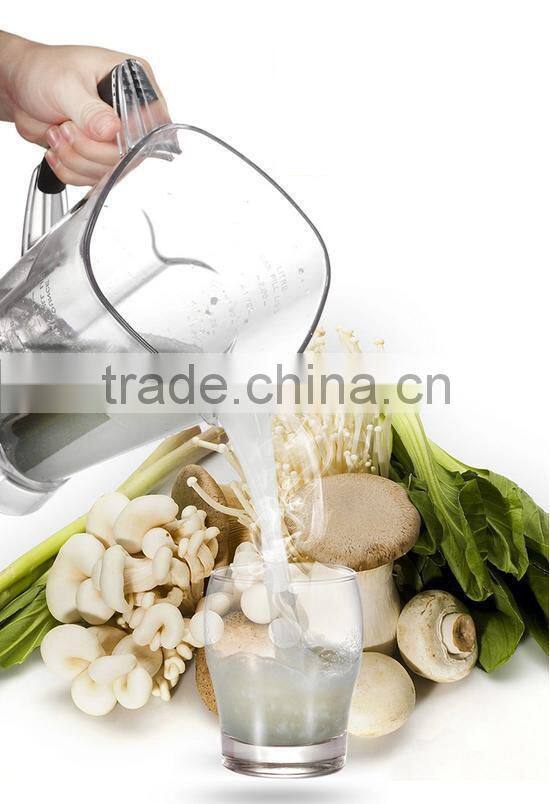 Best Fruit Vegetable Juicer Blender