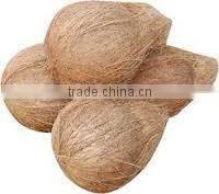 Semi husked coconut