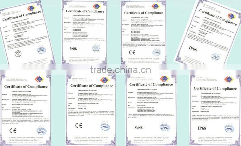 24X3W Remote Control christmas IP68 led pool light