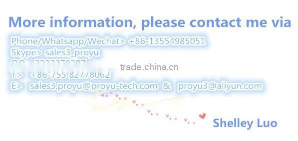 Proyu waterproof 270kg single door magnetic safety lock PY-EL5-2W