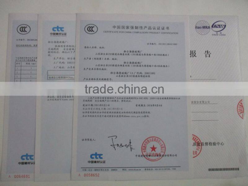 Toughened 5mm bathroom sliding glass door