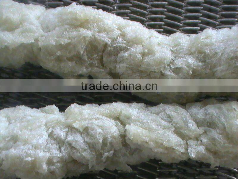 Advanced modify starch extrud machin