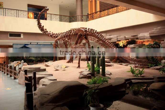 stegosaurus dinosaur fossils for sales
