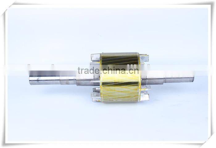 Rotor And Stator for Induction Motor