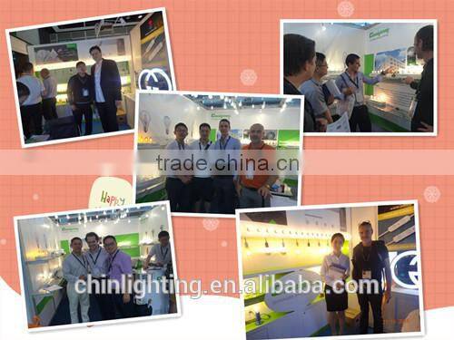 Edison style bulb G95 led filament lamp indoor decoration clear glass 6w e27 led bulb