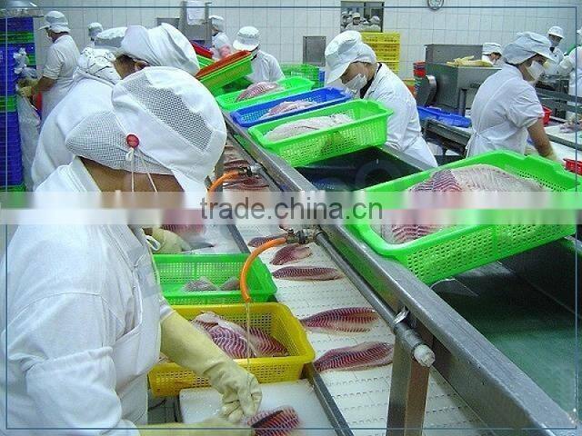 Factory customized plastic modular belt conveyor