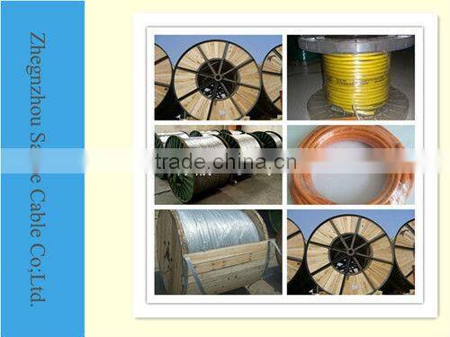 Bare conductor (AAC)