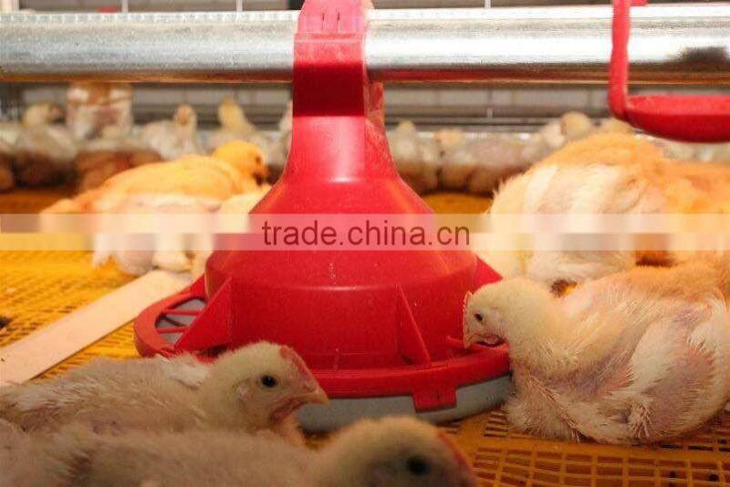 Poultry Automatic Feeding System for Broiler