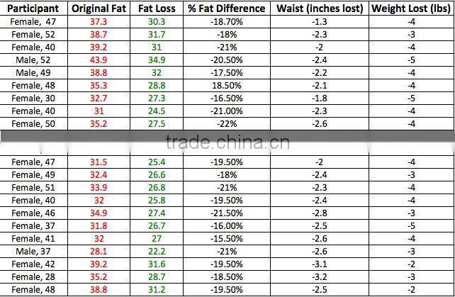 Professional Fat Freezing Mini Cryolipolysis For Home Use