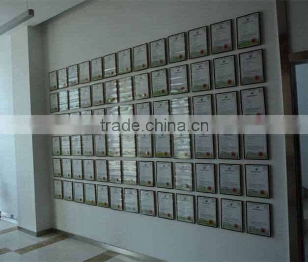 VSEE pine nut color sorter