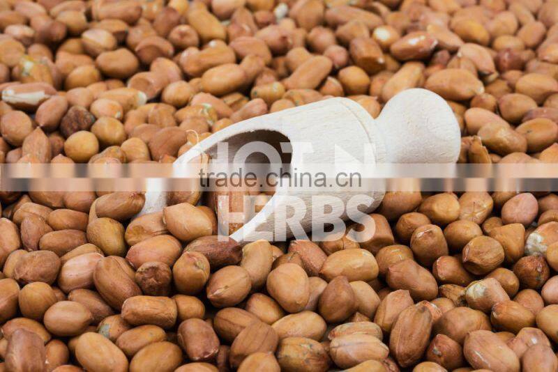 Most Trusted Dealer Supplying Organic Raw Peanuts at Leading Market Rate