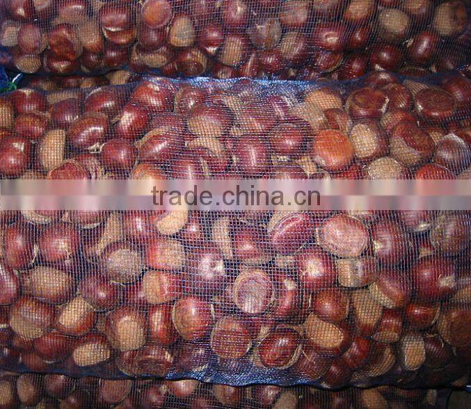 Sweet Chestnut Wholesales Price Shandong Crop and Dandong Crop
