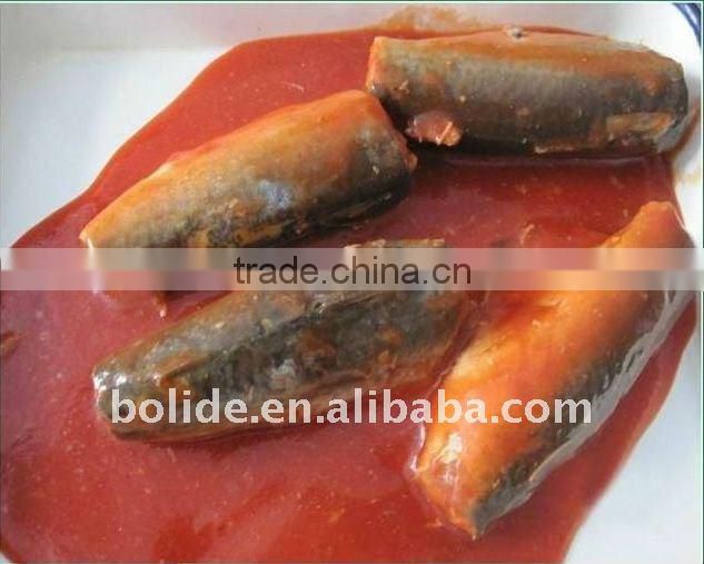 425g canned mackerel fish in tomato paste
