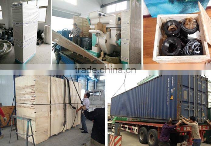 Rice Straw Pellet Mill Machine With Double Rollers