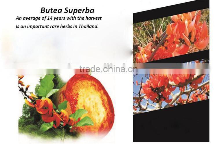 Male sexual enhancement Butea Superba extract powder