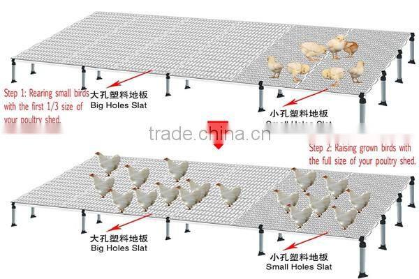 Goldenest supplies poultry equipment price plastic slats flooring for broiler farm manufacturer price JCJ13-PS11