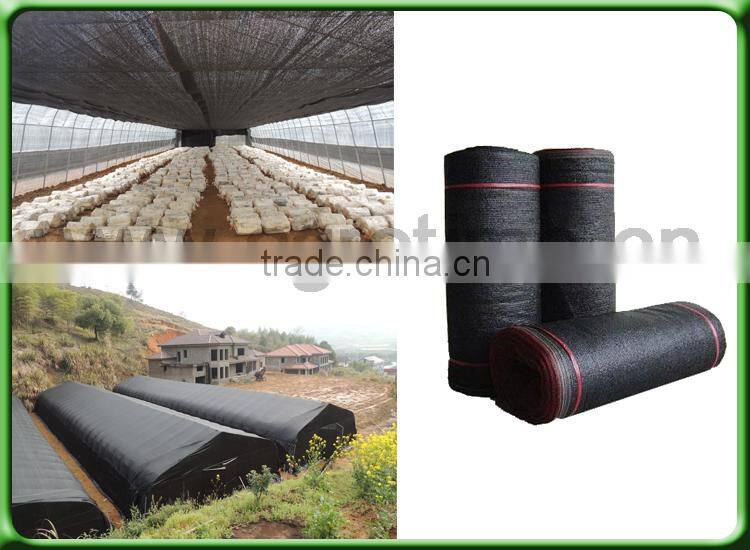 desert rose growing greenhouse for sale in China