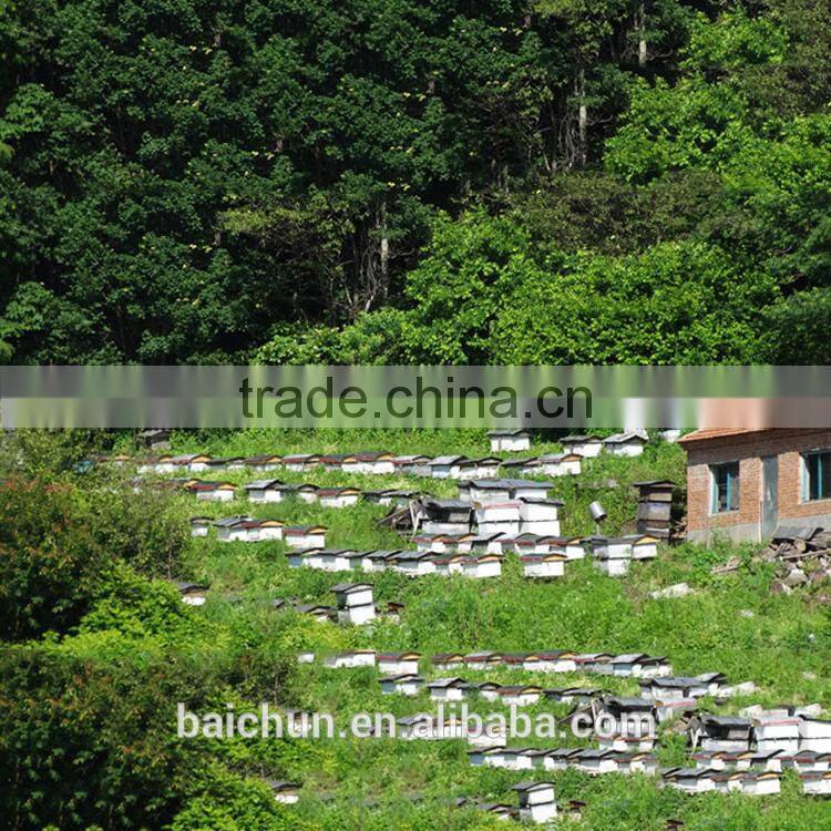 factory professional prodution of medicinal grade yellow beeswax particles for sale