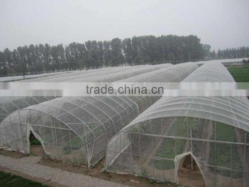 50gsm Transparent Anti Hail Nets protect plant from damage