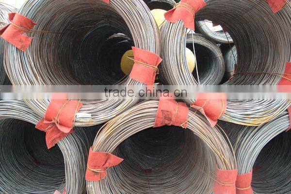 BWG16 hot dip galvanized wire(supplier)