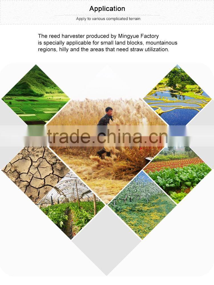 Four-wheel reed reaper reed machine