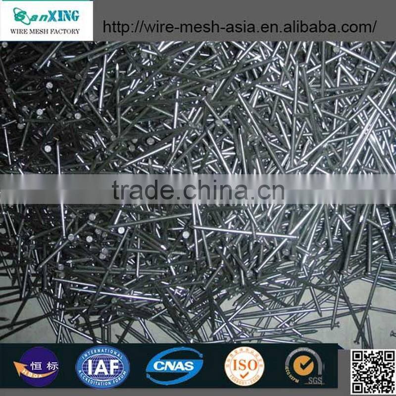 Common Wire Nail Construction Roofing Nail Iron Nail Building material