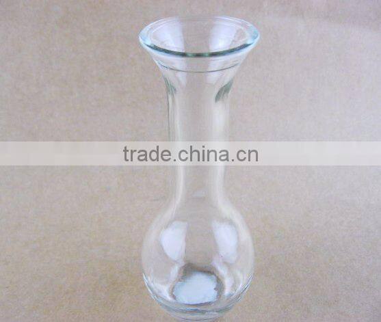clear glass vase / flower bottle