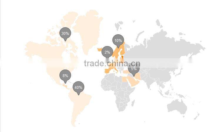 Hot Sale Disposable Hotel Toothbrush With 6g Toothpaste Dental Kit