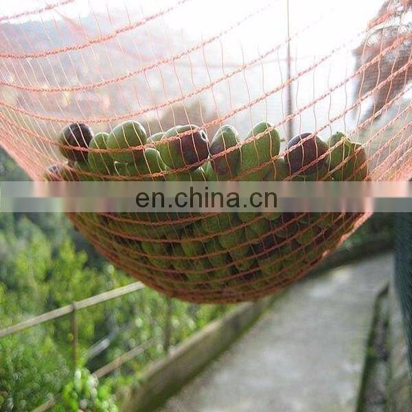 Greece Popular Olive Protection and Harvest Nets with UV stabalizer