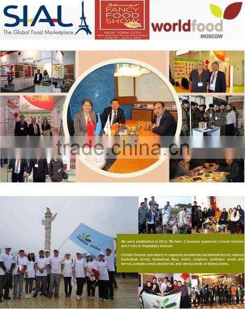 Agriculture organic frozen product, IQF, frozen vegetables & frozen broccoli