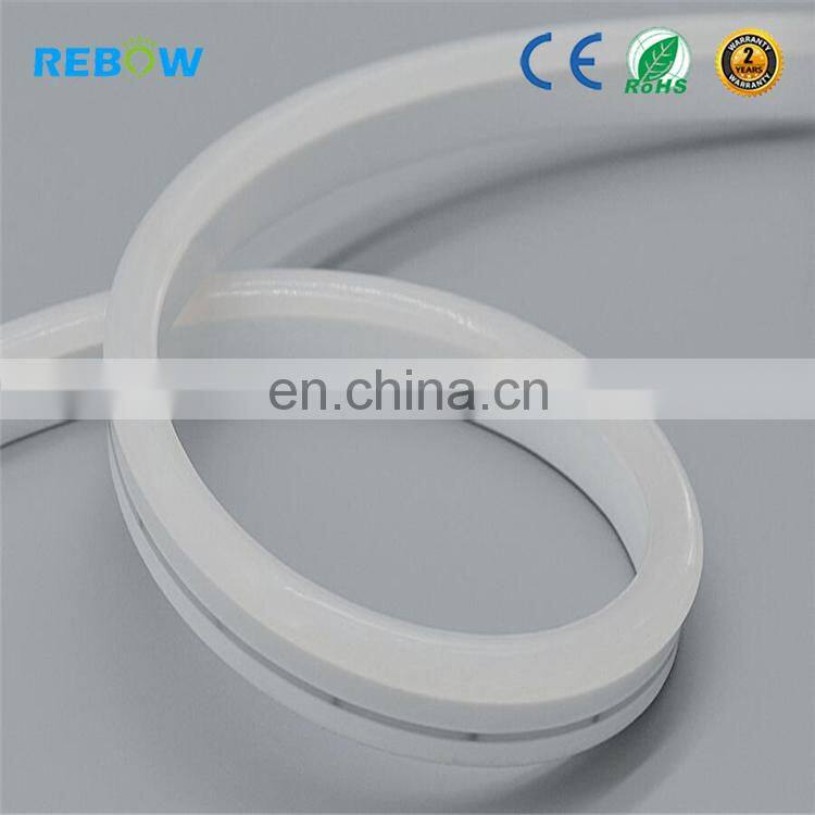 High Quality neon led waterproof 12V 24V 220v neon flex rgb led tube/strip/rope