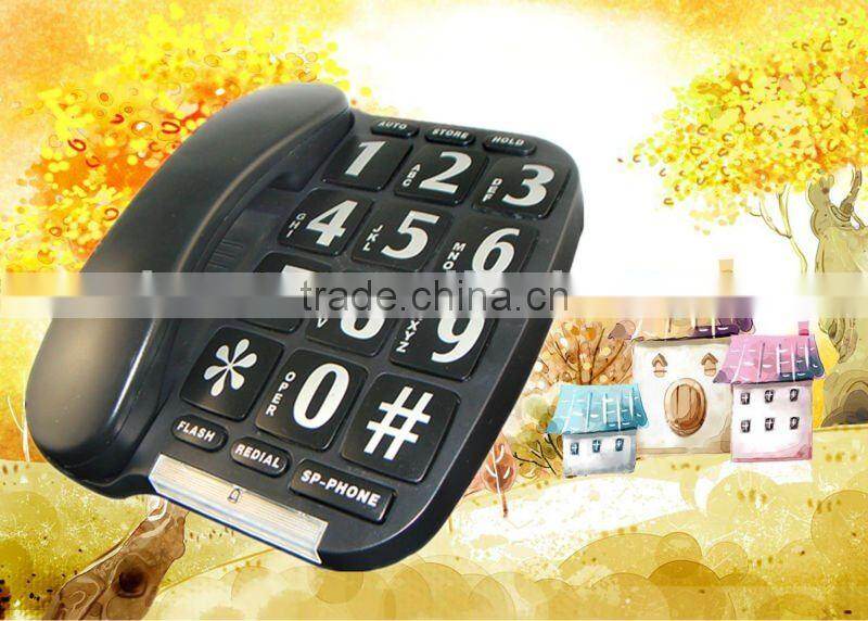 blind people electronics