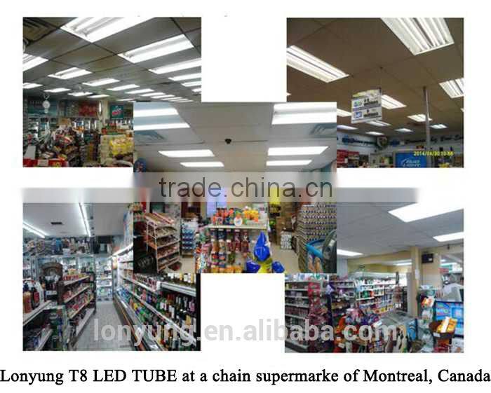 5 years warranty wholesale price high quality T8 warm white uk led lighting