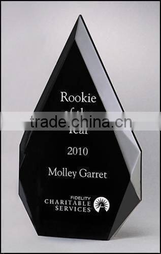 Elegant custom acrylic trophy and award